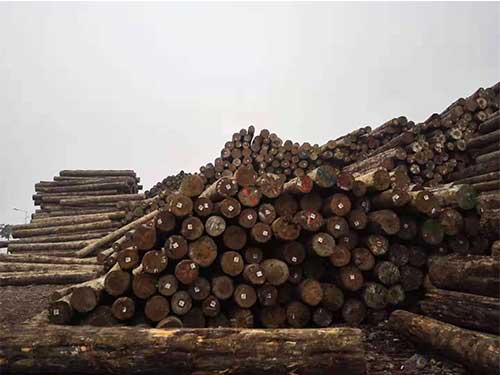 昆明進口松木價格